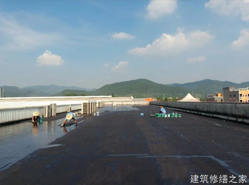 宁德2026福鼎市 彩钢瓦屋面防水 本地正规资质商家